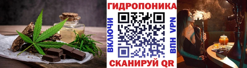 Canna-Cookies конопля  Донской 