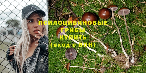 стаф Алексеевка