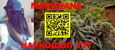 крисы Лесосибирск