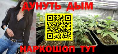 крисы Лесосибирск