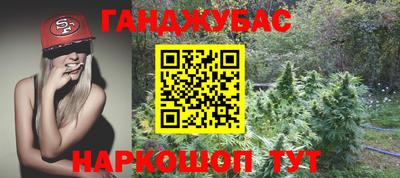 крисы Лесосибирск
