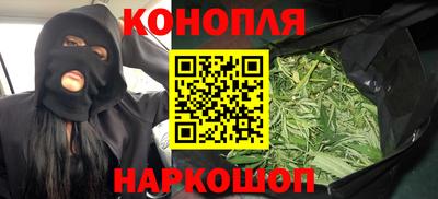 стаф Малгобек