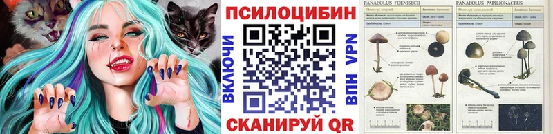 Галлюциногенные грибы мицелий  как найти закладки  Донской 