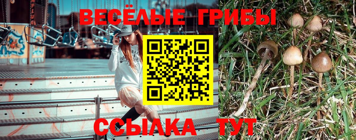 Галлюциногенные грибы ЛСД Донской